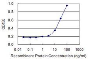 Detection limit for recombinant GST tagged HSD3B2 is 0. (HSD3B2 Antikörper  (AA 33-122))