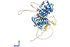 Protein Structure (PS) image for Transcription Factor 25 (Basic Helix-Loop-Helix) (TCF25) (AA 1-676) protein (His tag) (ABIN7544393)