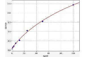 Myeloperoxidase (MPO) ELISA Kit