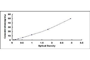 Typical standard curve (HMBS ELISA Kit)