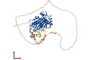 Protein Structure (PS) image for Lysine (K)-Specific Demethylase 4D (KDM4D) (AA 1-523) protein (His tag) (ABIN7548708)