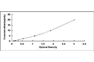 Typical standard curve (AS3MT ELISA Kit)