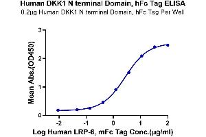 ELISA image for Dickkopf Homolog 1 (DKK1) (AA 32-142), (N-Term) protein (Fc-Avi Tag) (ABIN7274472)