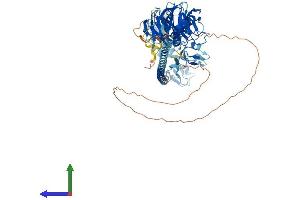 Protein Structure (PS) image for Tripartite Motif Containing 56 (TRIM56) (AA 1-755) protein (His tag) (ABIN7555852)