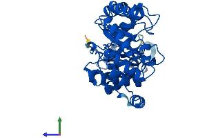 AlphaFold protein structure predicition of Mouse Recombinant Dera Protein, UniprotID Q91YP3