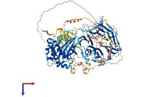 MAP4K5 Protein (AA 1-846) (His tag)