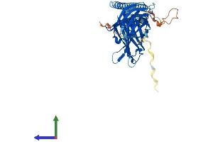 Protein Structure (PS) image for Synaptotagmin V (SYT5) (AA 1-386) protein (His tag) (ABIN7544064)