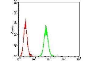 Flow cytometric analysis of Hela cells using P2RY8 mouse mAb (green) and negative control (red). (P2RY8 Antikörper)