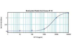 Image no. 2 for anti-Chemokine (C-X-C Motif) Ligand 10 (CXCL10) antibody (Biotin) (ABIN465473) (CXCL10 Antikörper  (Biotin))