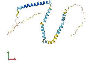 Protein Structure (PS) image for Tumor Protein D52-Like 2 (TPD52L2) (AA 1-206) protein (His tag) (ABIN7544740)