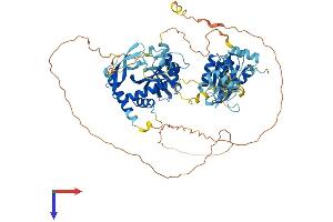 NKRF Protein (AA 1-690) (His tag)
