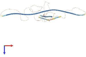 Cancer Antigen 1 (CAGE1) (AA 1-777) protein (His tag)
