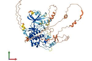 Protein Structure (PS) image for Mitogen-Activated Protein Kinase 4 (MAPK4) (AA 1-583) protein (His tag) (ABIN7557998)