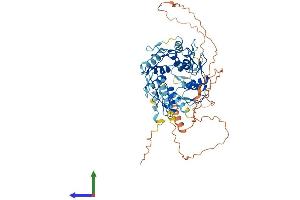 Protein Structure (PS) image for Zinc Finger Protein 587 (ZNF587) (AA 1-575) protein (His tag) (ABIN7545339)