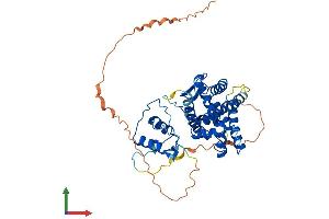 Protein Structure (PS) image for Estrogen-Related Receptor alpha (ESRRA) (AA 1-423) protein (His tag) (ABIN7547355)