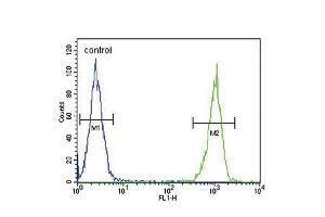 Flow cytometric analysis of MDA-MB231 cells (right histogram) compared to a negative control cell (left histogram). (Lactoferrin Antikörper)