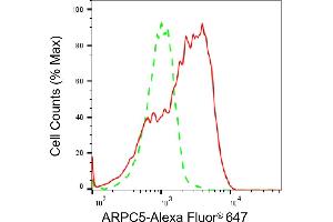 Flow cytometric analysis of ARPC5 expression in H9c2 cells using ARPC5 antibody (ABIN7797454), 1:2,000).