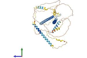 Protein Structure (PS) image for Transcription Factor EB (TFEB) (AA 1-475) protein (His tag) (ABIN7565198)