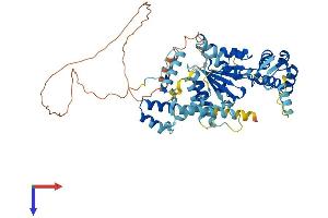 KATNAL2 Protein (AA 1-538) (His tag)