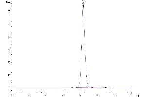 The purity of Human LILRA1 is greater than 95 % as determined by SEC-HPLC. (LILRA1 Protein (AA 17-461) (His-Avi Tag))