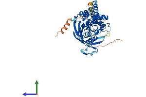 Protein Structure (PS) image for RNA Pseudouridylate Synthase Domain Containing 4 (RPUSD4) (AA 1-377) protein (His tag) (ABIN7551607)