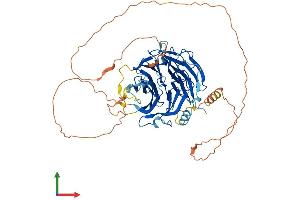 Protein Structure (PS) image for DDB1 and CUL4 Associated Factor 10 (DCAF10) (AA 1-566) protein (His tag) (ABIN7561928)