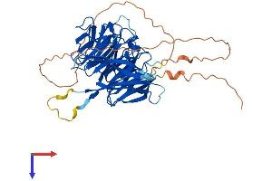 Diphthamide Biosynthesis 7 (DPH7) (AA 1-477) protein (His tag)