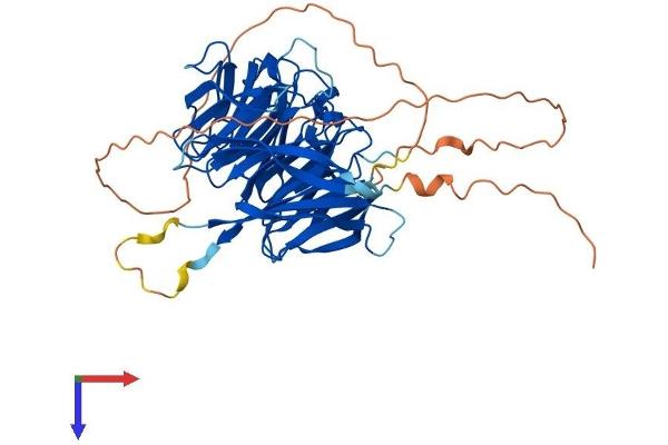 Diphthamide Biosynthesis 7 (DPH7) (AA 1-477) protein (His tag)