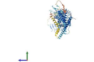RXFP2 Protein (AA 1-737) (His tag)
