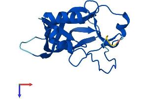GGACT Protein (AA 1-149) (His tag)