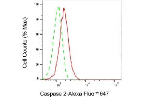 Flow cytometric analysis of Caspase 2 expression in HepG2 cells using Caspase 2 antibody (ABIN7797890), 1:2,000). (Rekombinanter Caspase 2 Antikörper)