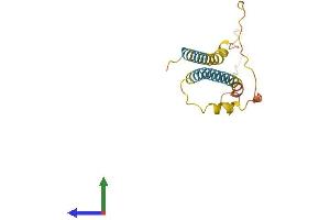 AlphaFold protein structure predicition of Mouse Recombinant Tmem240 Protein, UniprotID B2RWJ3