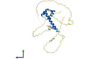 Protein Structure (PS) image for Msh Momeobox 2 (Msx2) (AA 1-267) protein (His tag) (ABIN7549561)