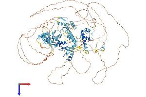 ADNP Protein (AA 1-1108) (His tag)