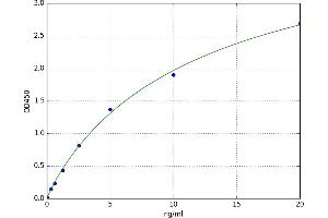 A typical standard curve (KPNA2 ELISA Kit)
