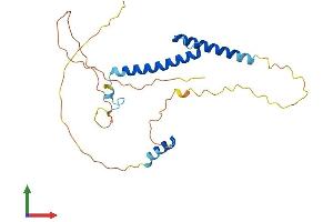 AlphaFold protein structure predicition of Mouse Recombinant Myf5 Protein, UniprotID P24699