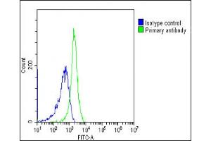 Flow Cytometry (FACS) image for anti-Membrane Metallo-Endopeptidase (MME) (AA 472-505) antibody (ABIN6243087)