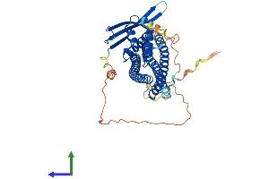 AlphaFold protein structure predicition of Human Recombinant SNX30 Protein, UniprotID Q5VWJ9