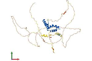 Protein Structure (PS) image for Lymphoid Enhancer-Binding Factor 1 (LEF1) (AA 1-397) protein (His tag) (ABIN7563030)
