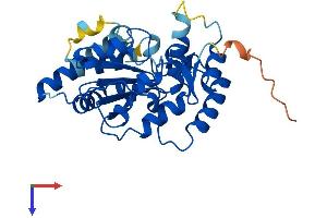 SULT4A1 Protein (AA 1-284) (His tag)