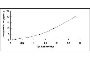 Typical standard curve (FOXQ1 ELISA Kit)