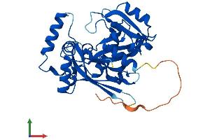 AlphaFold protein structure predicition of Mouse Recombinant Nudt22 Protein, UniprotID Q9DD16