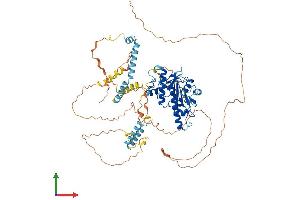 Protein Structure (PS) image for Adducin 1 (Alpha) (ADD1) (AA 1-735) protein (His tag) (ABIN7561784)