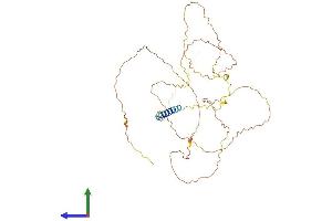 Protein Structure (PS) image for Lymphocyte Transmembrane Adaptor 1 (LAX1) (AA 1-407) protein (His tag) (ABIN7558623)