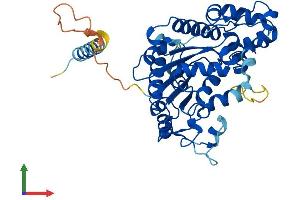 Protein Structure (PS) image for Carbohydrate (Keratan Sulfate Gal-6) Sulfotransferase 1 (CHST1) (AA 1-411) protein (His tag) (ABIN7565033)