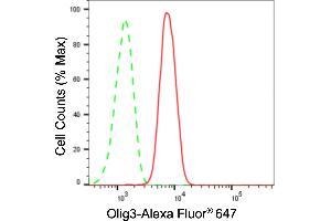 Flow cytometric analysis of Olig3 expression in HAP-1 cells using Olig3 antibody (ABIN7799702), 1:2,000). (Rekombinanter OLIG3 Antikörper)
