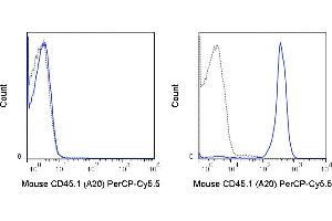 C57Bl/6 (left panel) or SJL (right panel) splenocytes were stained with 0. (CD45.1 Antikörper  (PerCP-Cy5.5))