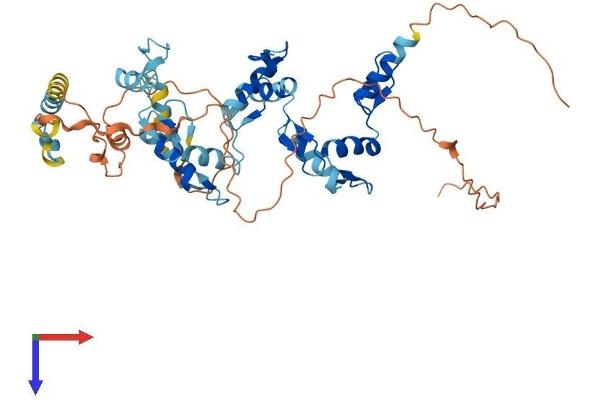 ZNF669 Protein (AA 1-464) (His tag)