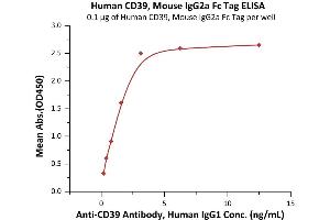 Immobilized Human CD39, Mouse IgG2a Fc Tag (ABIN6972988) at 1 μg/mL (100 μL/well) can bind A Antibody, Human IgG1 with a linear range of 0.