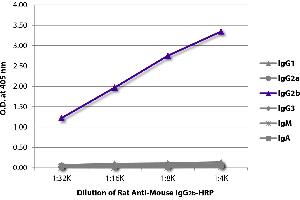 ELISA plate was coated with purified mouse IgG1, IgG2a, IgG2b, IgG3, IgM, and IgA. (Ratte anti-Maus IgG2b Antikörper (HRP))